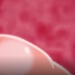 Thumbnail of post image 122