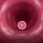 Thumbnail of post image 093